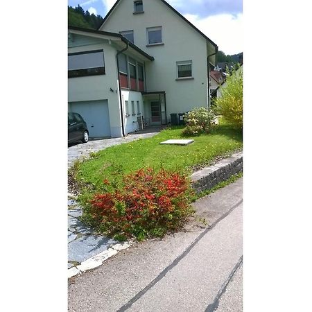 Haus Marion Daire Todtnau Dış mekan fotoğraf