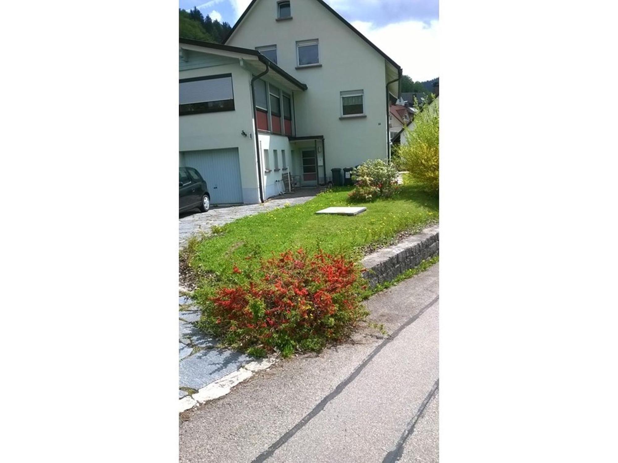 Haus Marion Daire Todtnau Dış mekan fotoğraf